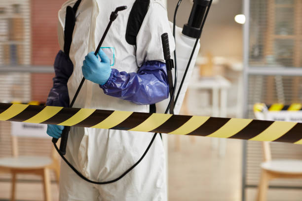 Professional Sewage Cleanup technician working in West Richland, WA